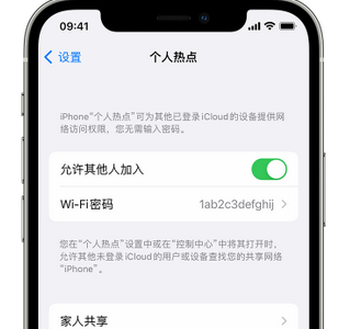 长清apple服务站点分享iPhone上个人热点丢失了怎么办