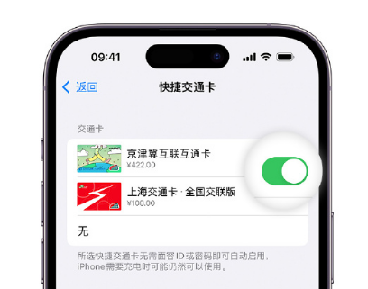 长清apple维修点分享iPhone上更换Apple Pay快捷交通卡手绘卡面 