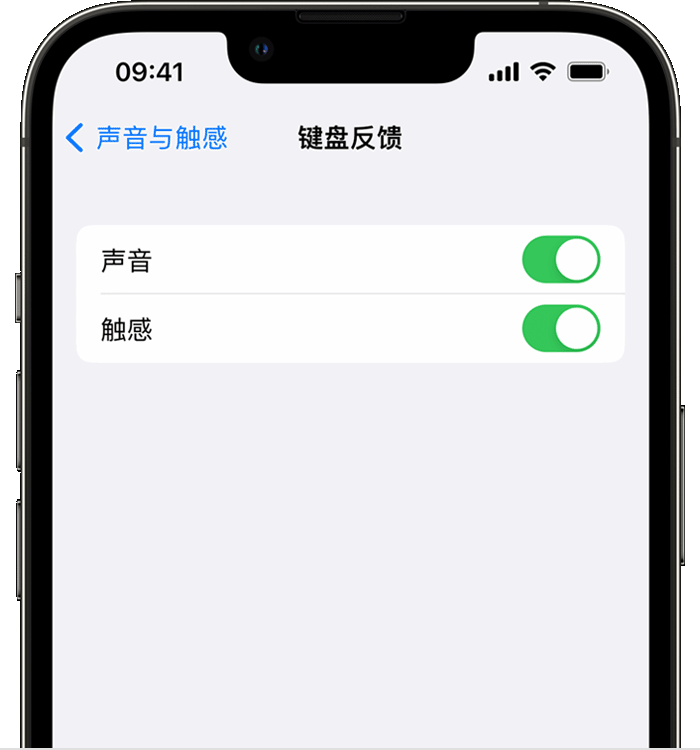 长清苹果14维修店分享如何在 iPhone 14 机型中使用触感键盘 