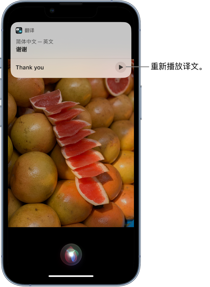 长清苹果14维修分享 iPhone 14 机型中使用 Siri：了解 Siri 能帮你做什么 