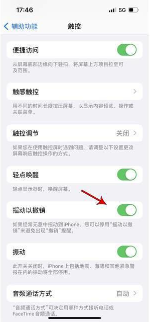 长清苹果手机维修分享iPhone手机如何设置摇一摇删除文字 